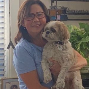 Meet your Posher, Lan